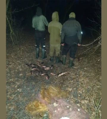 У Синельниківському районі Дніпропетровщини браконьєри виловили риби на 40 000 гривень У Синельниківському районі Дніпропетровщини браконьєри виловили риби на 40 000 гривень