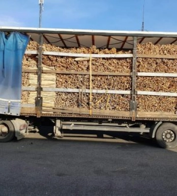 Закарпатські митники припинили незаконне вивезення двох вантажівок з лісоматеріалами Закарпатські митники припинили незаконне вивезення двох вантажівок з лісоматеріалами
