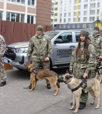 Розмінування і пошук зброї: поліція Київщини отримала ще 11 службових собак Розмінування і пошук зброї: поліція Київщини отримала ще 11 службових собак