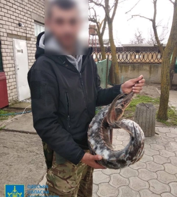 В Одесі судитимуть експравоохоронця, який перейшов на бік ворога та катував українців, - ФОТО В Одесі судитимуть експравоохоронця, який перейшов на бік ворога та катував українців, - ФОТО