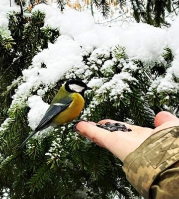 Нова допомога для України та формула миру. П'ять важливих новин 9 грудня Нова допомога для України та формула миру. П'ять важливих новин 9 грудня