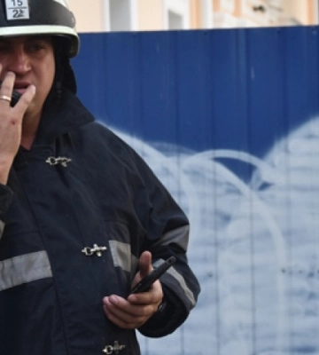 Одеські рятувальники зняли з дерева наляканого кота, - ВІДЕО
