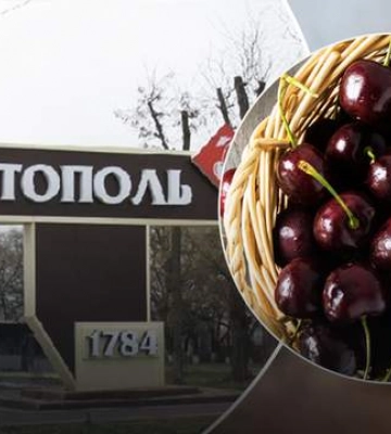 Оккупанты устроили бизнес на черешне из Мелитополя: хотят вывезти в Крым