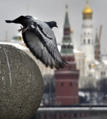 кремль перекрутил публикацию Spiegel и распространяет фейк, что «Германия не доверяет Киеву»