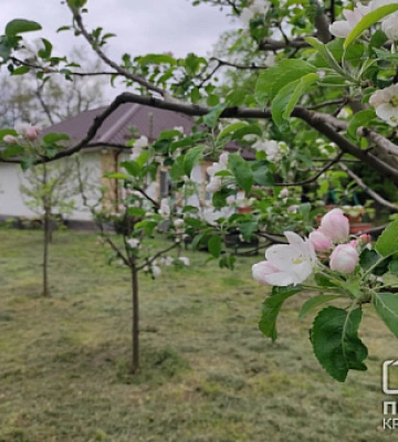 Погода у Кривому Розі 4 червня