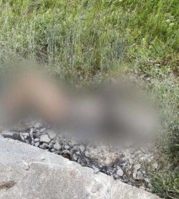 Львів&#039;янин вчинив самогубство на Київщині: залишив записку і підпалив себе