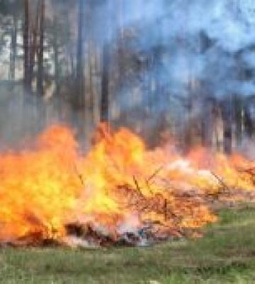 27 червня – 2 липня на Львівщині - надзвичайна пожежна небезпека