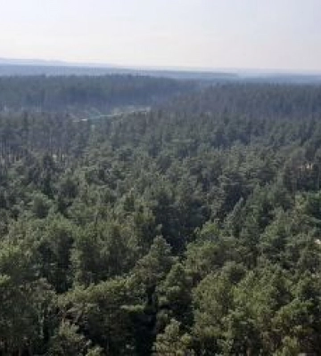 Украинку затянуло дымкой: жители пригорода Киева жалуются на запах гари 