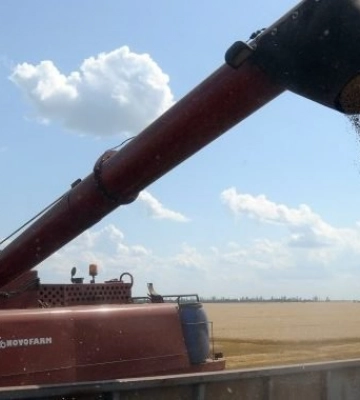 Экспорт сельхозпродукции из Украины в 2022 году составит не более 35% – британская разведка