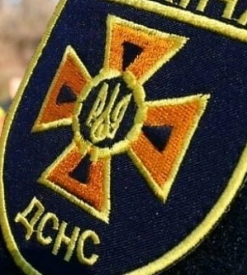 В Одесі рятувальники допомогли зняти з дерева перелякану кішку, - ФОТО