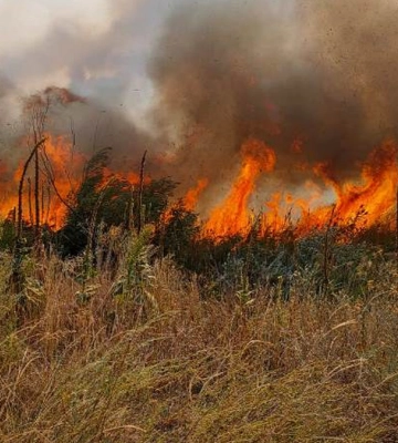 Окупанти продовжують обстрілювати Миколаїв та область, горіли поля з урожаєм - голова ОВА