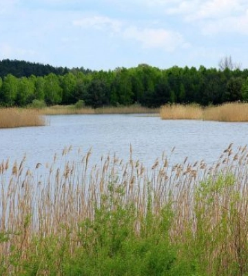 Под Киевом воду в реках Днепр и Стугна сочли непригодной для купания