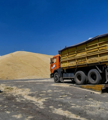 Урожай – 2022: в Украине собрали 26 млн тонн зерна