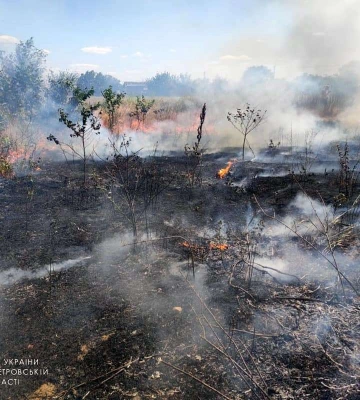 На Днепропетровщине объявили максимальный уровень пожароопасности. Вчера выгорели три гектара экосистемы