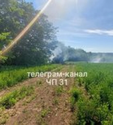 В Белгородской области упал и взорвался российский штурмовик Су-25 – фото, видео
