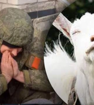 Партизанят даже животные: на Запорожье коза нанесла ранения нескольким российским оккупантам