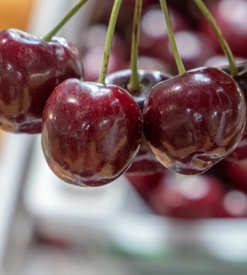 Где на этой неделе в Киеве пройдут продуктовые ярмарки. Адреса