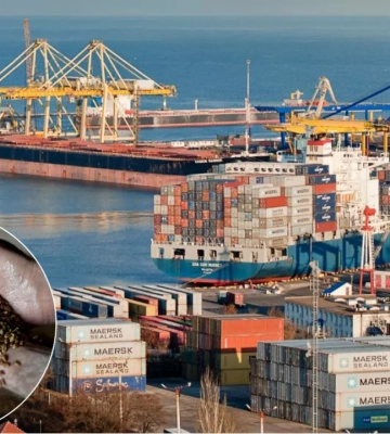 Деблокада Черного моря: как будут отгружать зерно из Одессы