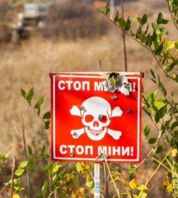 На Харьковщине женщина подорвалась на мине, собирая грибы