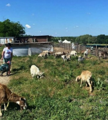 На Дніпропетровщині жінка прихистила 400 тварин з гарячих точок