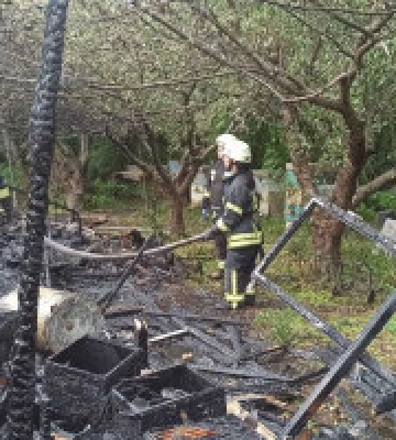 У Гореничах на Київщині палала пасіка 