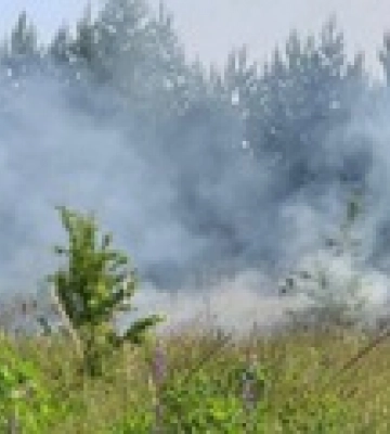 Российские вертолеты обстреляли приграничье Сумщины