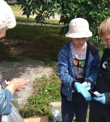 Як маленькі патріоти з Луцька продають черешні, аби зібрати гроші на Bayraktar – сюжет (Відео)