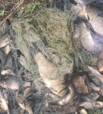 На Одещині засудили та оштрафували двох браконьєрів,- ФОТО