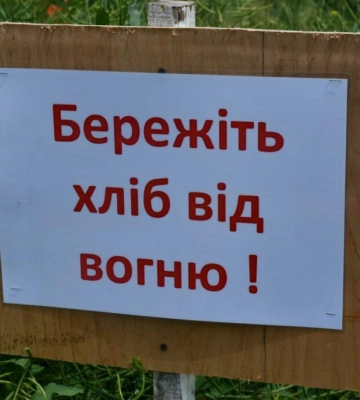 У Болградському районі вогонь знищив на полі пшеницю