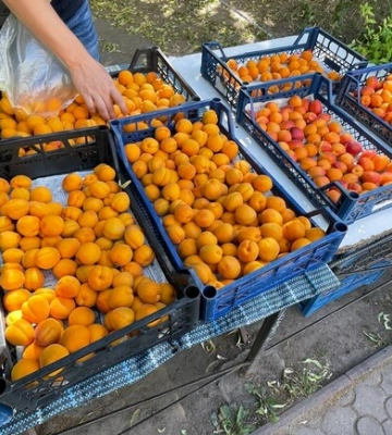 У Запоріжжі почали продавати абрикоси: які ціни