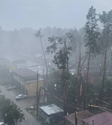У Києві та області негода ламає дерева та затоплює вулиці
