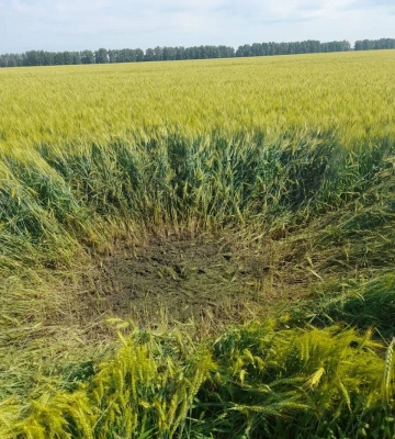 На Сумщині прикордонники збили ударний дрон з вибухівкою. ВІДЕО+ФОТО