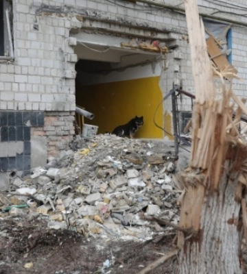 Паризький регіон розробить містобудівну концепцію відновлення Бородянки