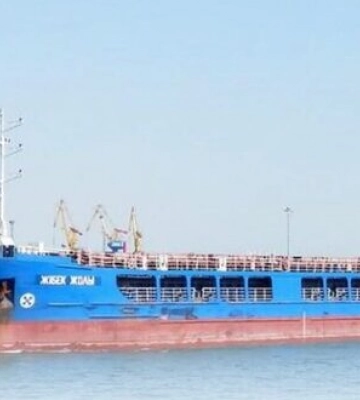 Корабель з зерном з окупованого Бердянська прибув до Туреччини, посол України вимагає вжити заходів