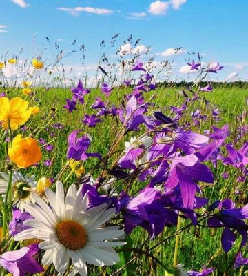Перші вихідні липня: якою буде погода