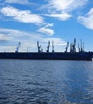До Туреччини прибув російський корабель із вантажем з окупованого Бердянська