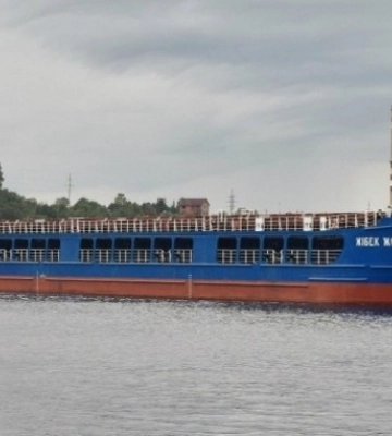 До Туреччини прибуло судно з українським викраденим зерном. Україна закликає вжити заходів