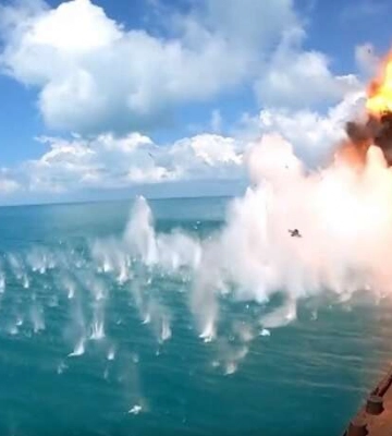 Вооруженные силы вычистили Змеиный от остатков российского гарнизона (видео)