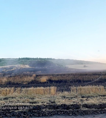 На Одещині горіло пшеничне поле, - ФОТО