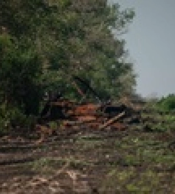 Минобороны отрицает полную оккупацию Луганщины