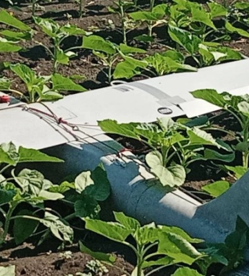На Миколаївщині ЗСУ знищили ворожий безпілотник