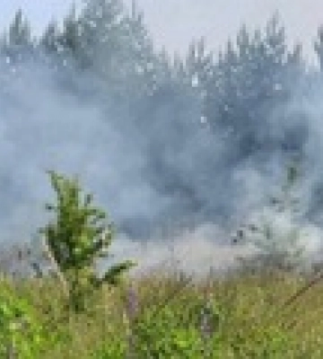 По Сумській області стріляли з мінометів