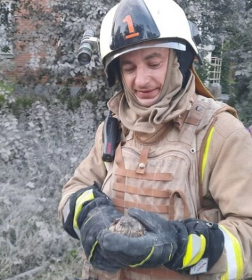 У Харкові пожежник врятував поранене пташеня з-під завалів зруйнованої росіянами школи