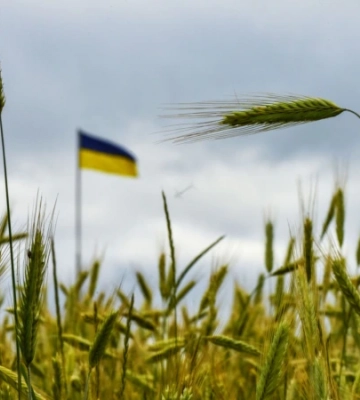 На користь держави передано понад 500 гектарів землі під Києвом із власності громадян РФ – ОГП