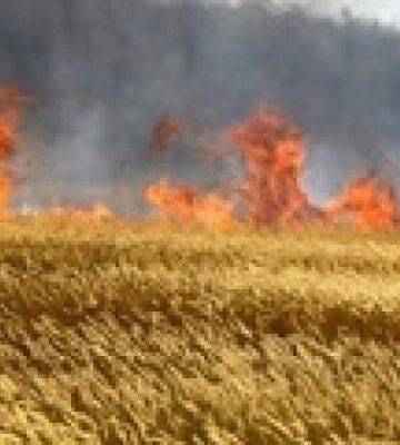 На Дніпропетровщині після обстрілу зайнялося поле з озимими