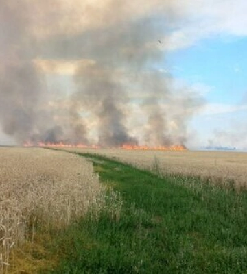 Минулої доби внаслідок обстрілів на Харківщині сталося 9 пожеж, зокрема спалахнуло поле пшениці, - ДСНС. ФОТО