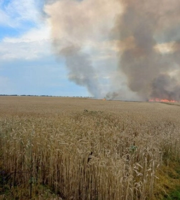 Під Харковом через російський обстріл горіло поле пшениці