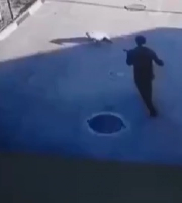 Появилось видео, как военный застрелил собаку на АЗС в Днепре