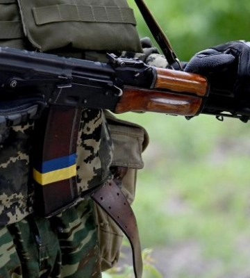 В Днепре ищут военного, который расстрелял собаку с щенками на заправке. Видео