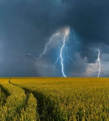 В Україні оголошено штормове попередження: де очікується негода
